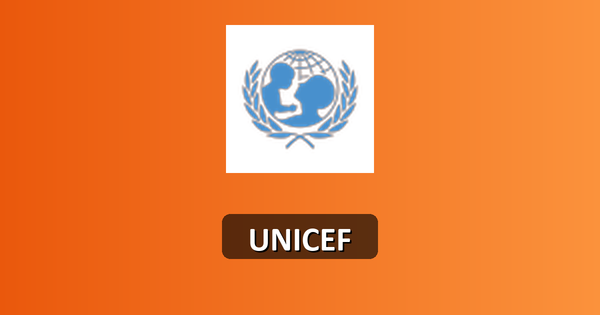 Social Policy Officer 2026—UNICEF